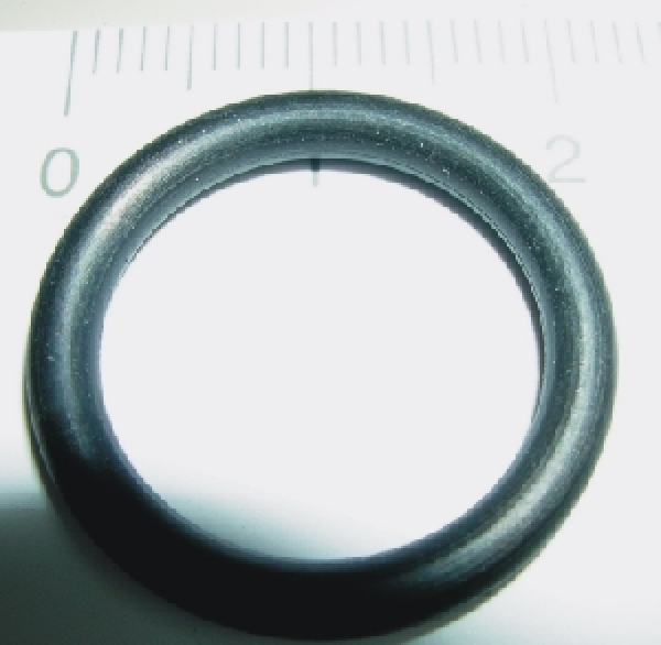 O-Ring Temperaturgeber