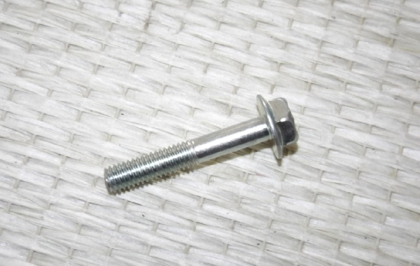 Schraube Verteiler / Ölpumpe